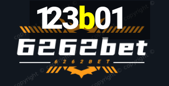 123b01