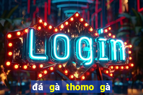 đá gà thomo gà khét của anh cọp