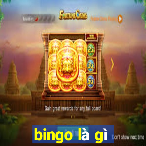 bingo là gì