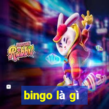 bingo là gì