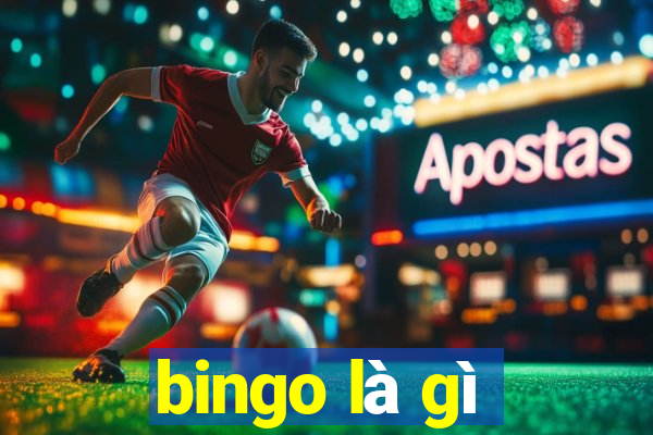 bingo là gì