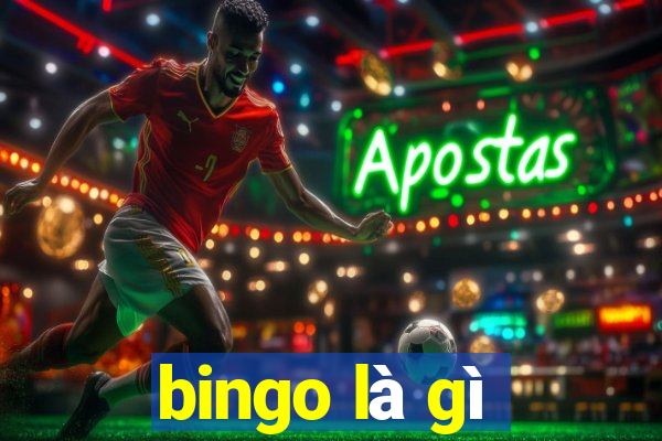 bingo là gì