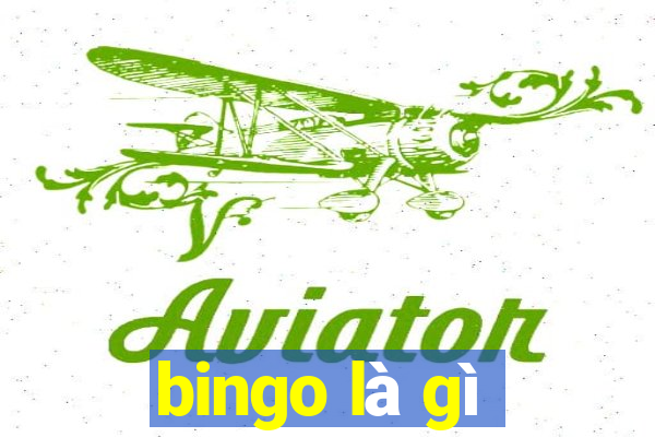 bingo là gì