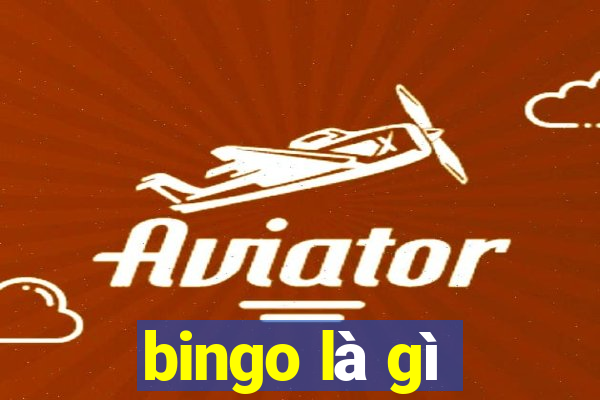 bingo là gì