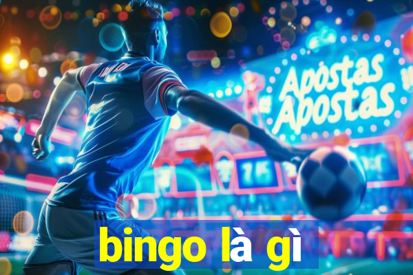 bingo là gì