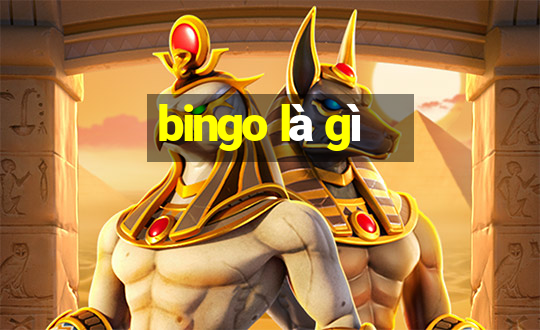 bingo là gì