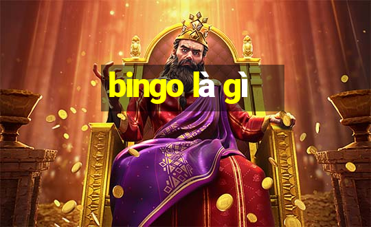 bingo là gì