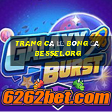 trang cá độ bóng đá bessel.org