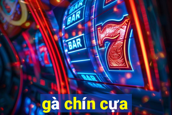 gà chín cựa