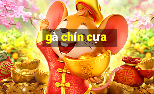 gà chín cựa