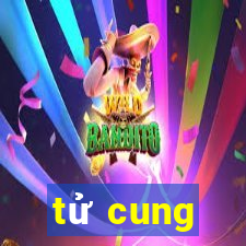 tử cung