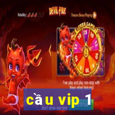 cầu vip 1