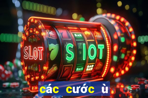 các cước ù trong chắn sân đình