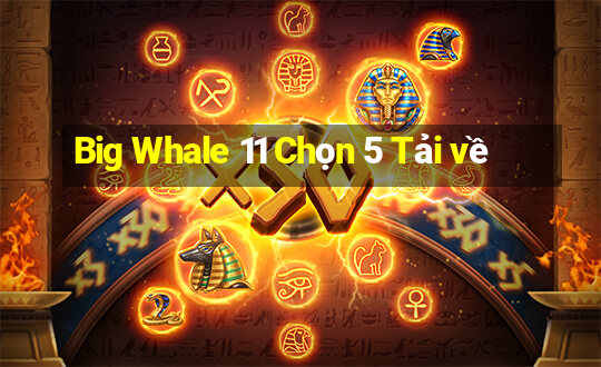 Big Whale 11 Chọn 5 Tải về