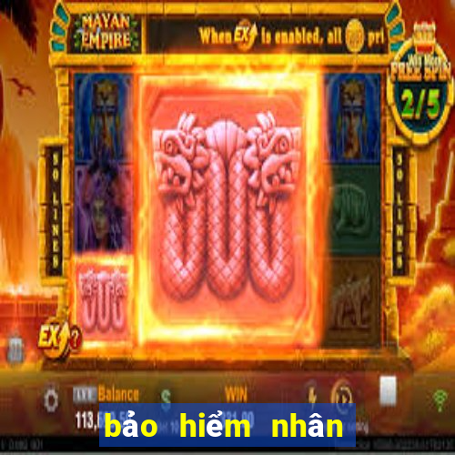 bảo hiểm nhân thọ bảo việt