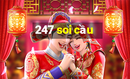 247 soi cầu