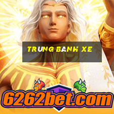 trùng bánh xe