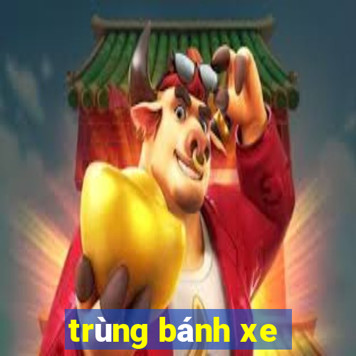 trùng bánh xe