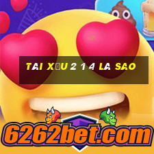 tài xỉu 2 1 4 là sao