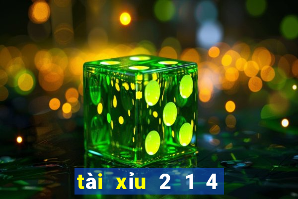 tài xỉu 2 1 4 là sao