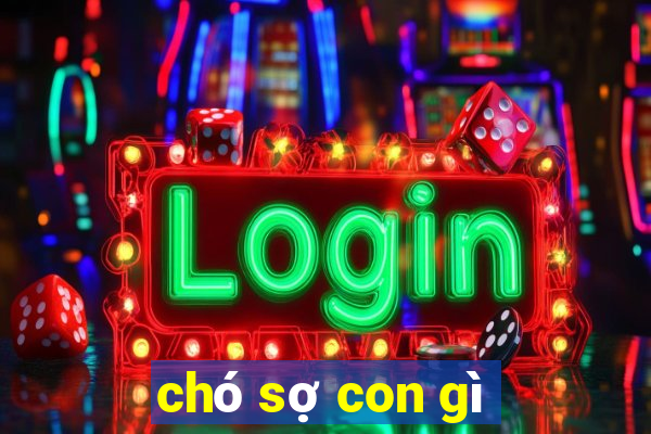 chó sợ con gì