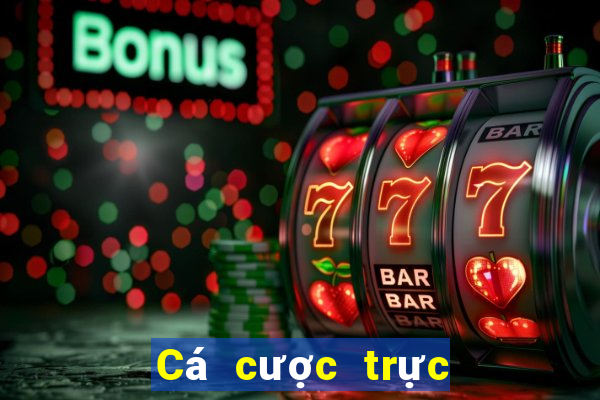 Cá cược trực tuyến 18bet