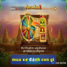 mua xe đánh con gì