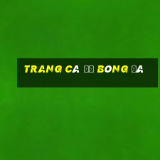 trang cá độ bóng đá