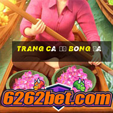 trang cá độ bóng đá