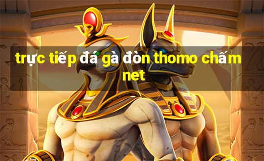 trực tiếp đá gà đòn thomo chấm net