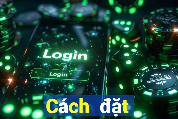 Cách đặt cược XSMT ngày 8