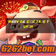 m88v cá cược trực tuyến