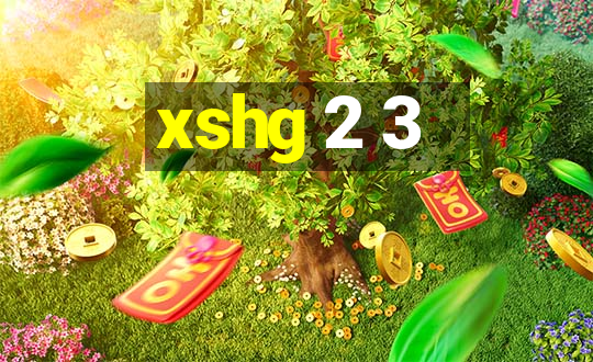 xshg 2 3