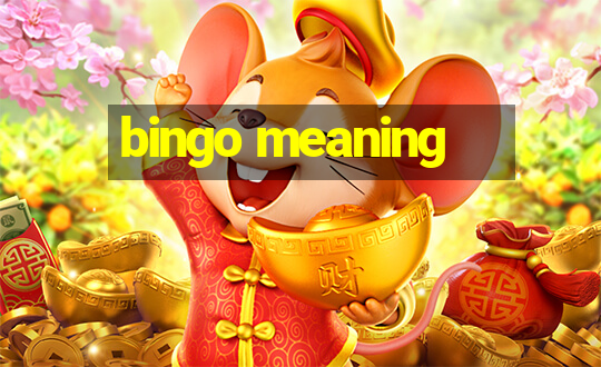 bingo meaning