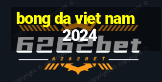 bong da viet nam 2024