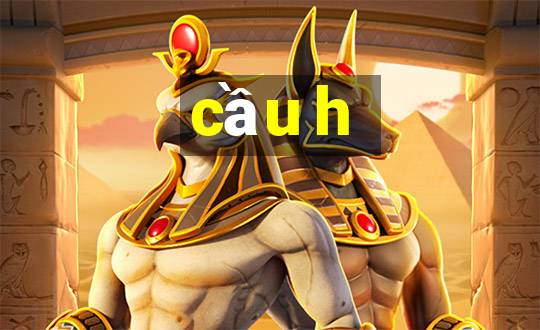 cầu h