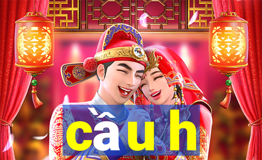 cầu h