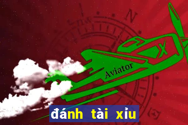 đánh tài xỉu bị bắt