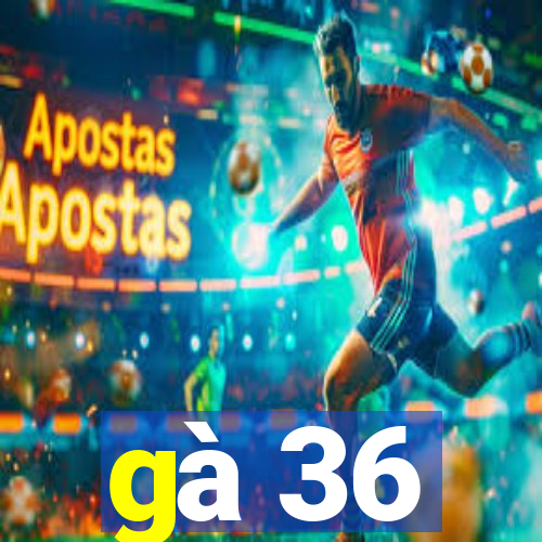 gà 36