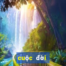 cuộc đời hạng bét