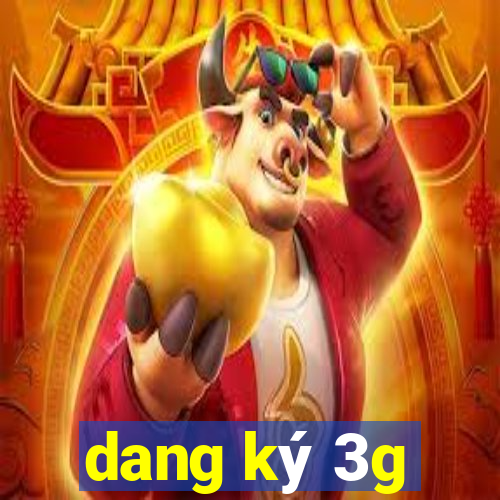 dang ký 3g