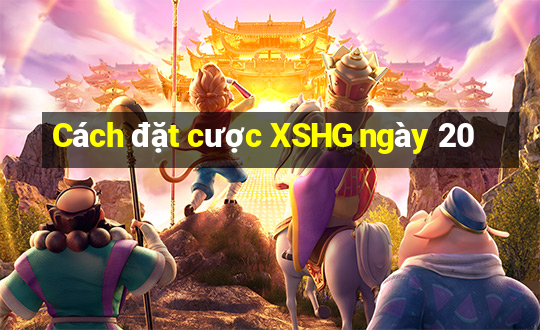 Cách đặt cược XSHG ngày 20