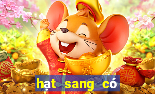 hạt sang có tác dụng gì