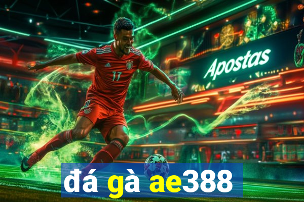 đá gà ae388