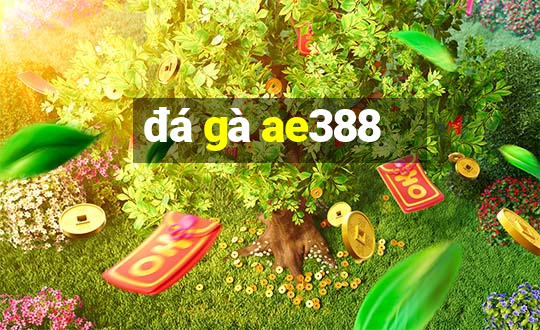 đá gà ae388