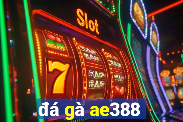 đá gà ae388