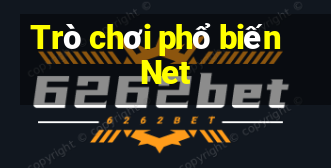 Trò chơi phổ biến Net