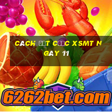 Cách đặt cược XSMT ngày 11