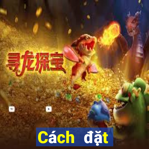 Cách đặt cược XSHG Chủ Nhật