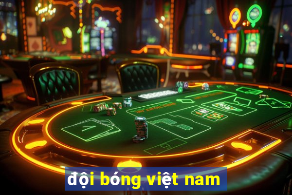 đội bóng việt nam